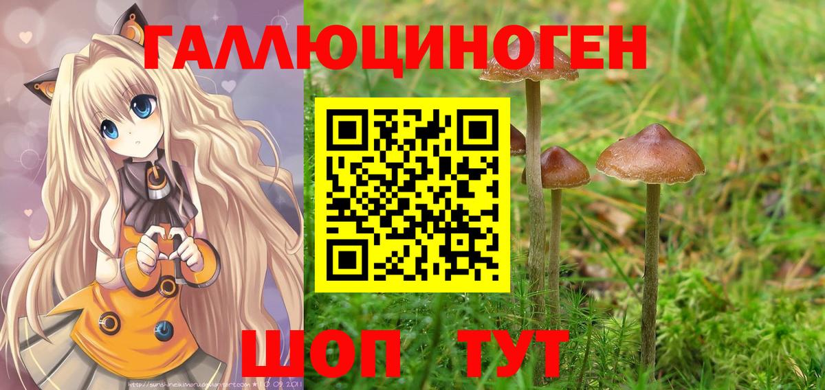 Псилоцибиновые грибы мухоморы Прокопьевск